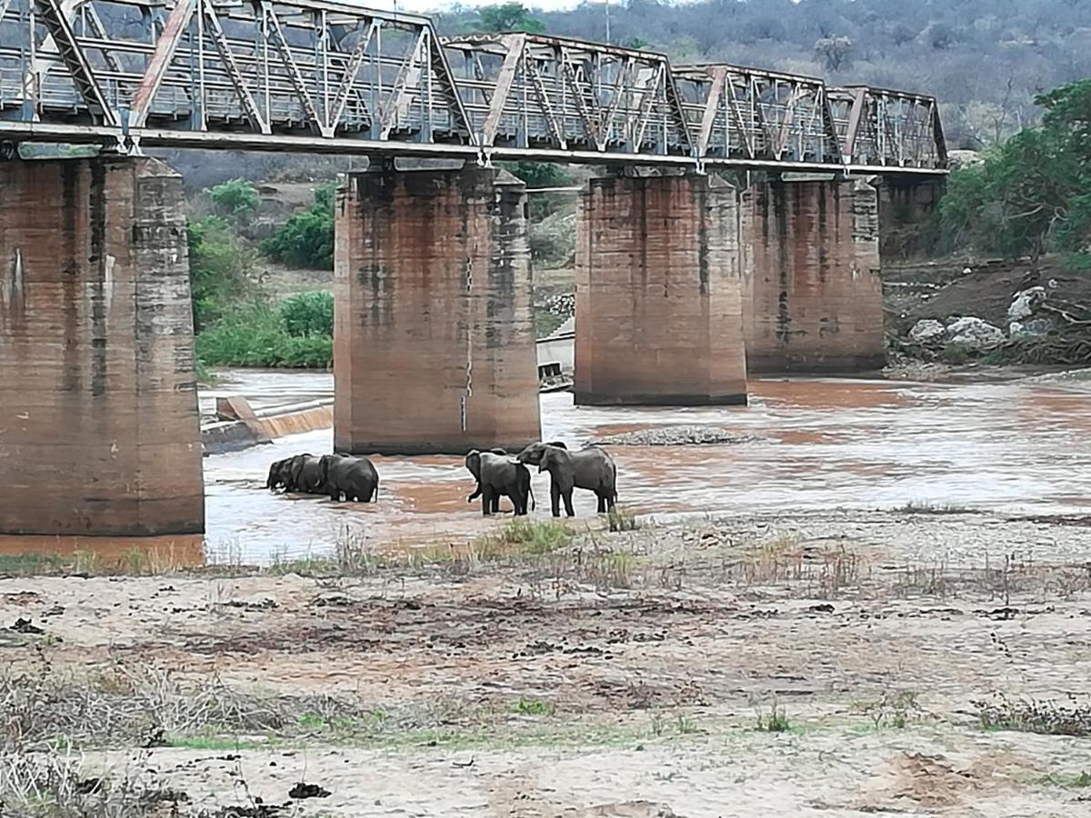 Three Bridges B&B Hoedspruit Luaran gambar