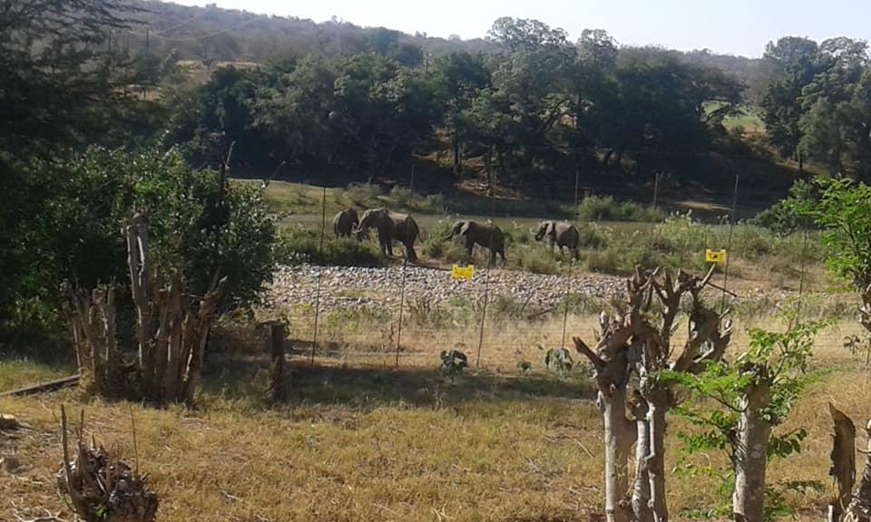 Three Bridges B&B Hoedspruit Luaran gambar